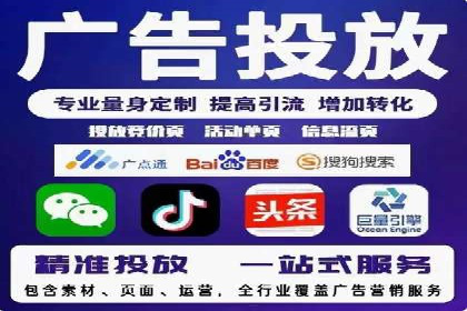 SEM运营公司成功案例解析